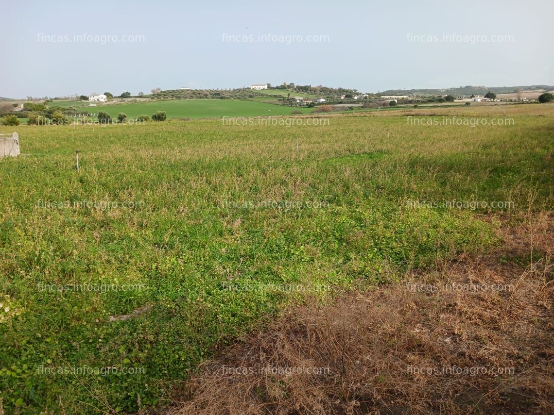 Fotos de Se vende finca