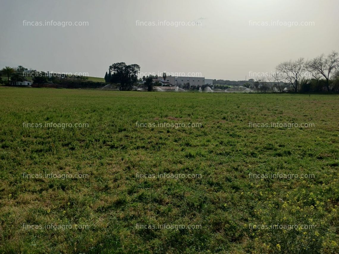 Fotos de Se vende finca
