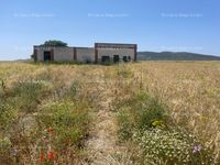 Fotos de A la venta Terreno agrícola para olivos en secano