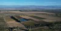 Fotos de Vendo OPORTUNIDAD ÚNICA DE INVERSIÓN: Finca de Pistachos Autosustentable con Energía Solar, Lavalle, Mendoza