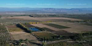 Vendo OPORTUNIDAD ÚNICA DE INVERSIÓN: Finca de Pistachos Autosustentable con Energía Solar, Lavalle, Mendoza