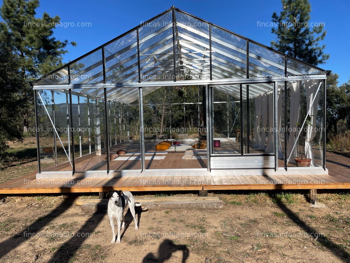 Fotos de A la venta Invernadero de cristal de La Casa Verde modelo Hercules