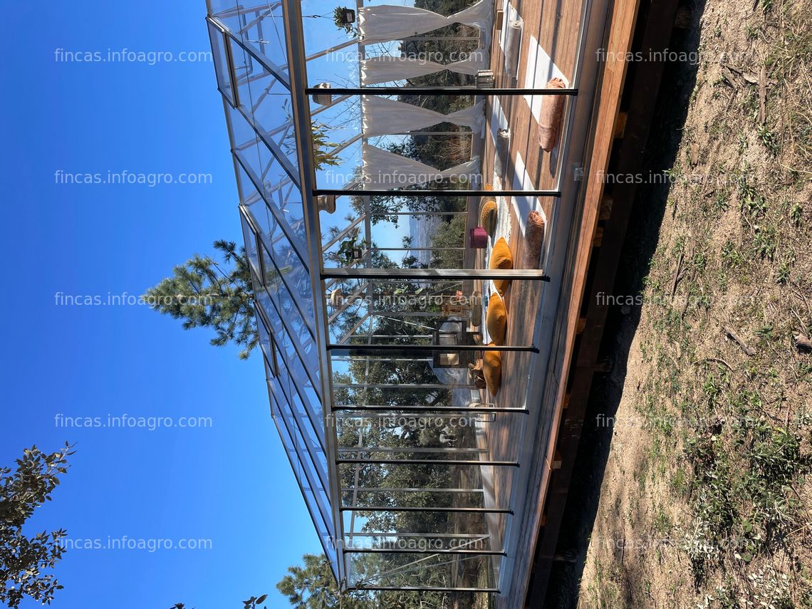 Fotos de A la venta Invernadero de cristal de La Casa Verde modelo Hercules