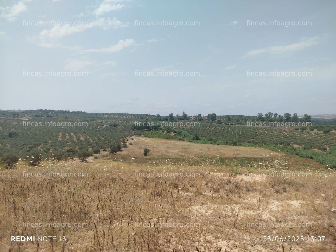 Fotos de En venta  Rústica tierra calma con Pozo
