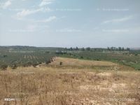 Fotos de En venta  Rústica tierra calma con Pozo