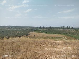En venta  Rústica tierra calma con Pozo