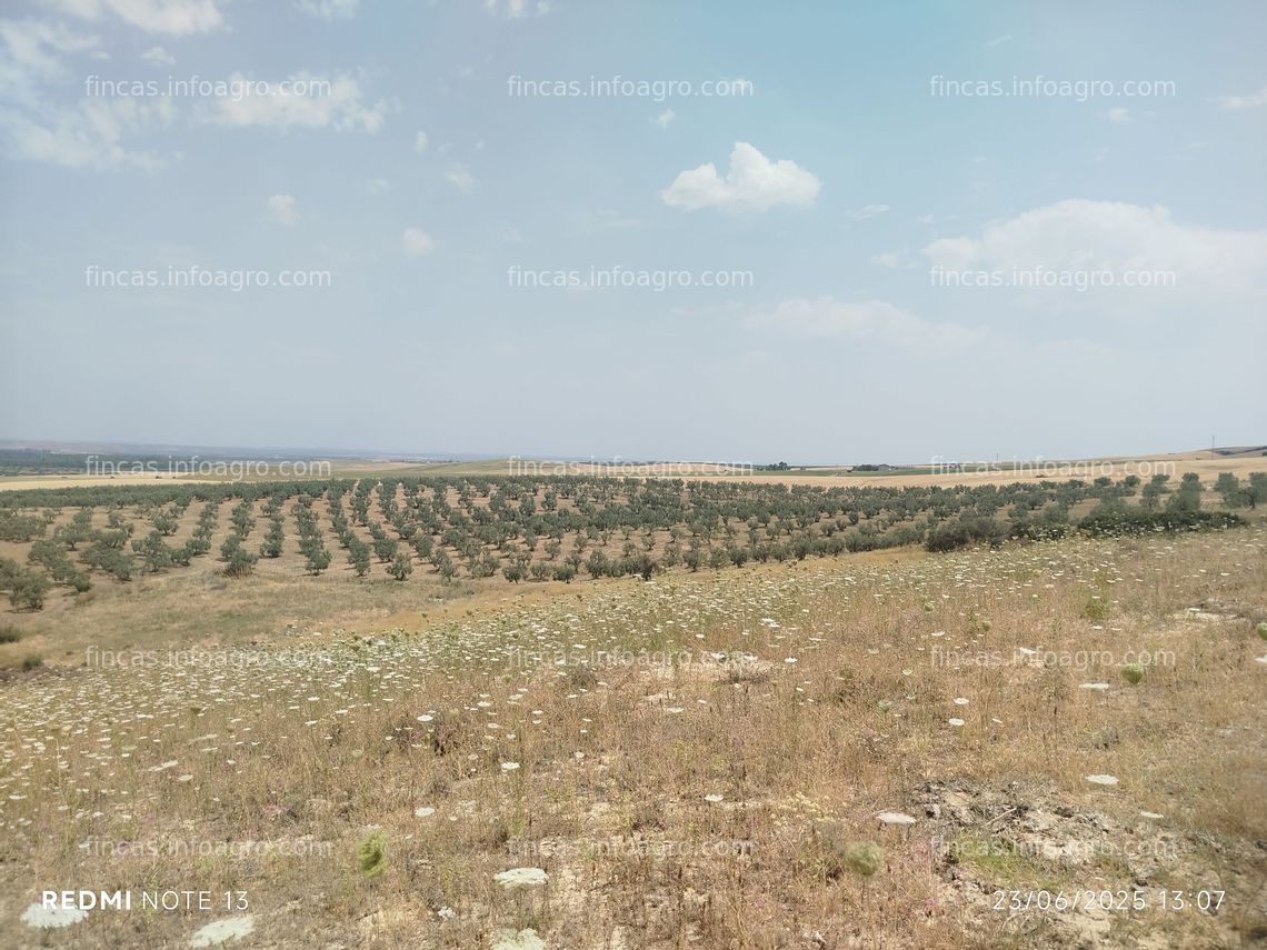 Fotos de En venta  Rústica tierra calma con Pozo