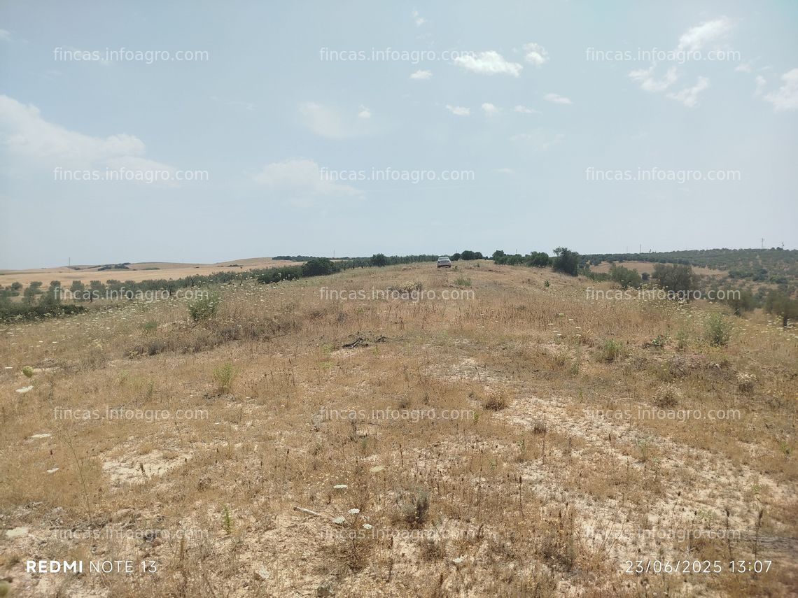 Fotos de En venta  Rústica tierra calma con Pozo