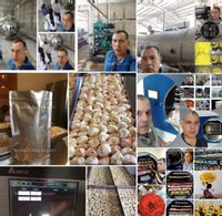 Fotos de Se vende Liofilización de Frutas,verduras,productos médicos,nutracéuticos,otros /Asesoría