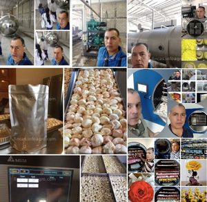 Se vende Liofilización de Frutas,verduras,productos médicos,nutracéuticos,otros /Asesoría