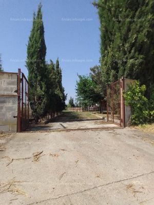 A la venta Torre rústica con terreno en Torregrossa (Lleida)