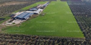 A la venta FINCA AGROGANADERA