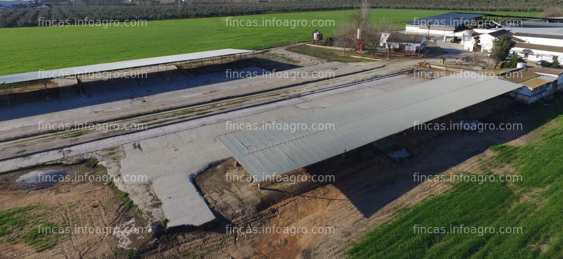 Fotos de A la venta FINCA AGROGANADERA