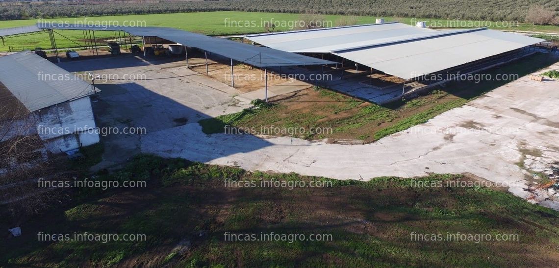 Fotos de A la venta FINCA AGROGANADERA
