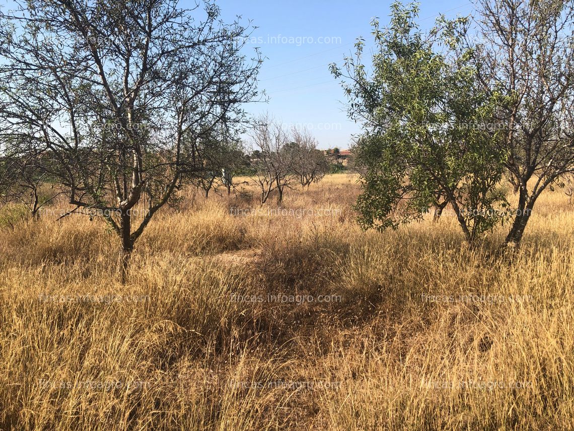 Fotos de Se vende Agrario regadio