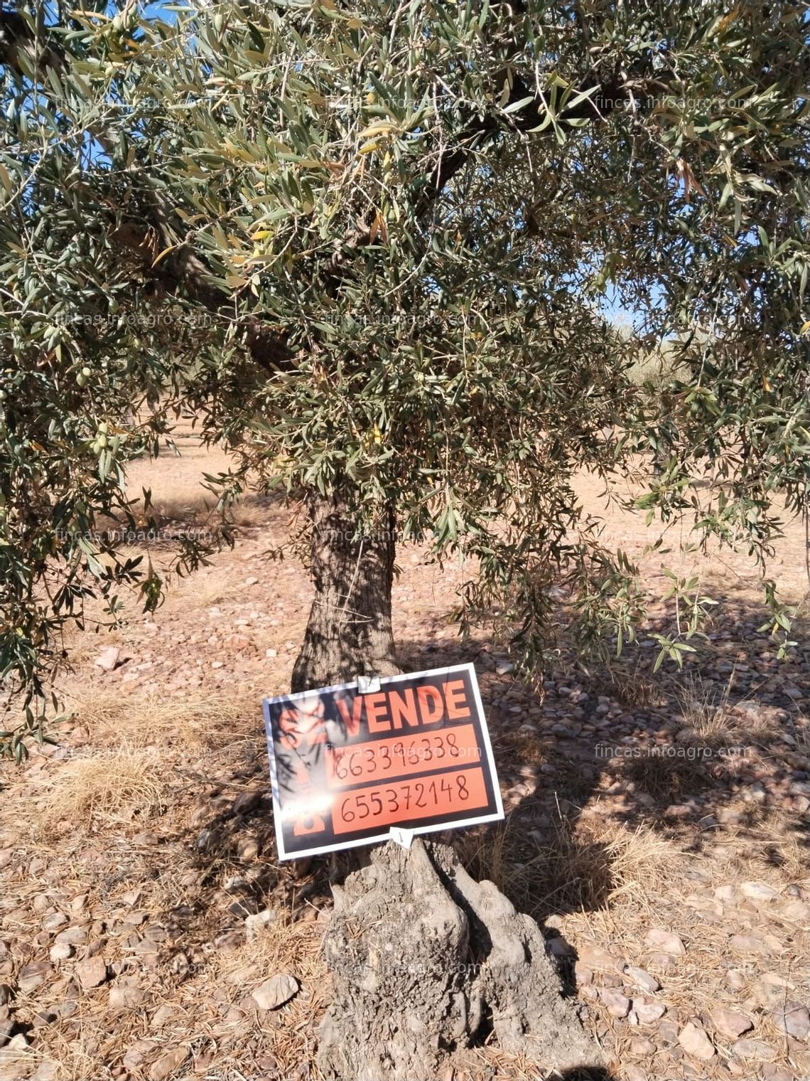Fotos de En venta  la Colada, finca rústica. Navalvillar de Pela, Badajoz