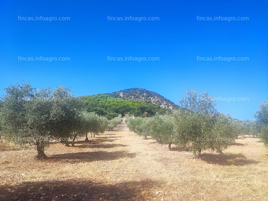 Fotos de En venta  la Colada, finca rústica. Navalvillar de Pela, Badajoz