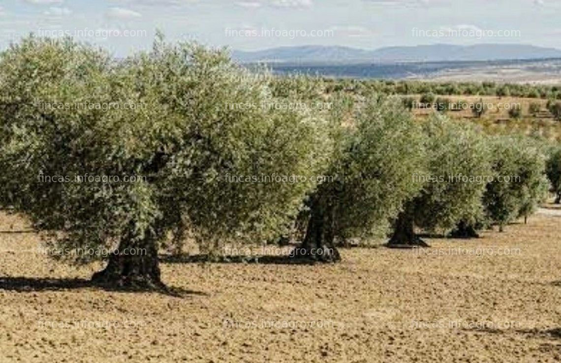 Fotos de En venta  la Colada, finca rústica. Navalvillar de Pela, Badajoz