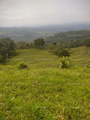 Vendo parcela en Bella Vista, Guabinas 