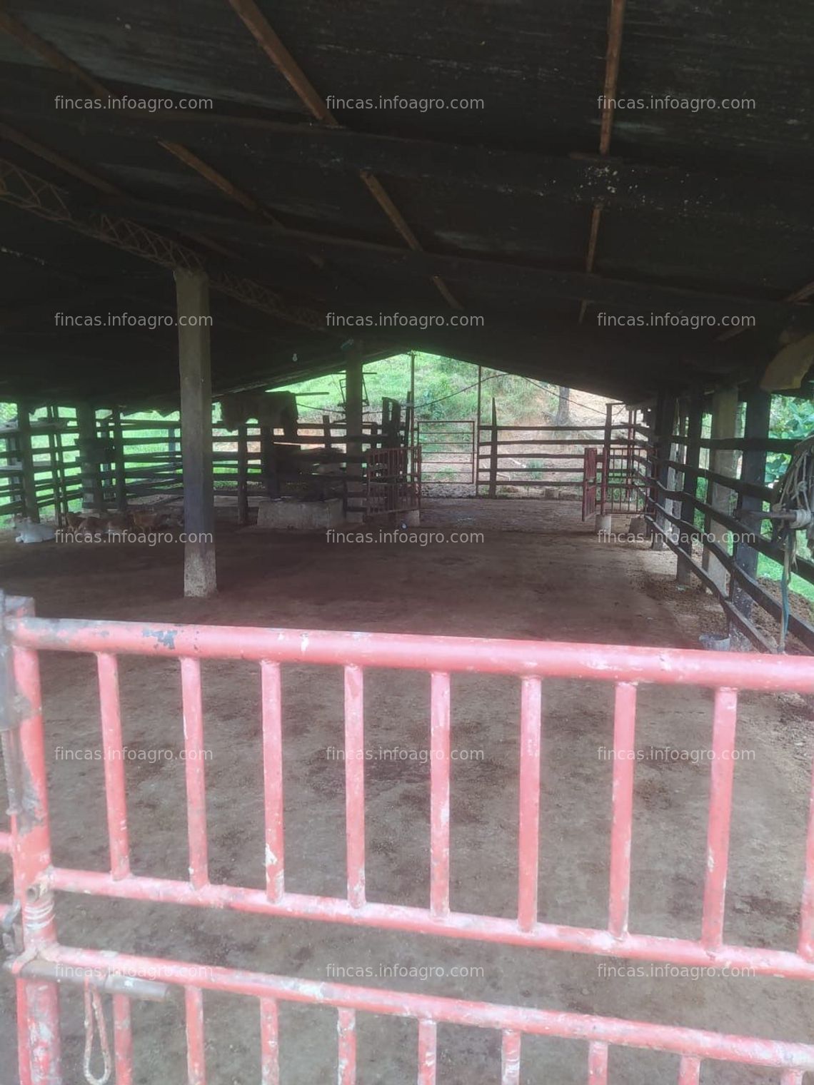 Fotos de Vendo parcela en Bella Vista, Guabinas 
