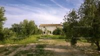 Fotos de Se vende olivar ecológico de regadío en Jaén