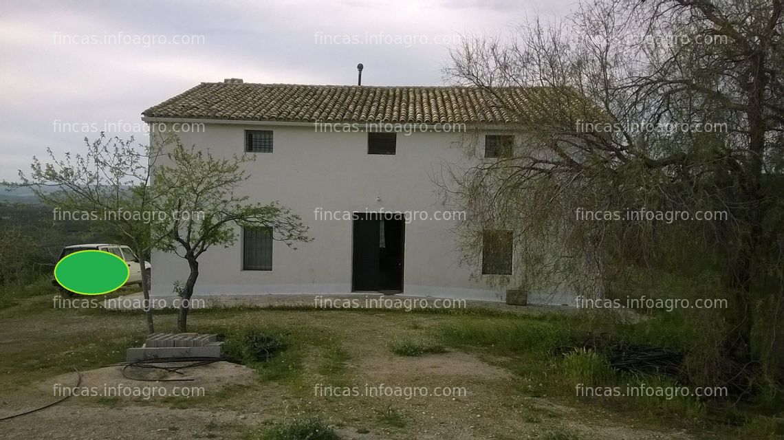 Fotos de Se vende olivar ecológico de regadío en Jaén