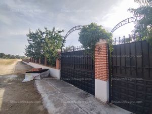 Se vende Gran finca junto a Arévalo 