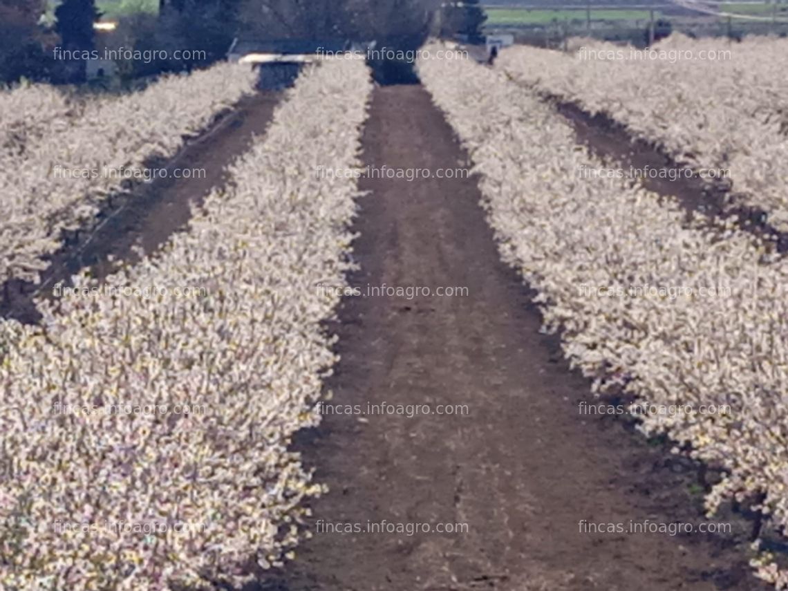 Fotos de En venta  FINCA EN ALMAGRO