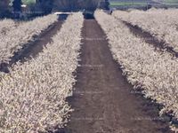 Fotos de En venta  FINCA EN ALMAGRO