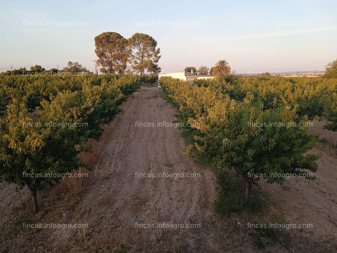 Fotos de En venta  FINCA EN ALMAGRO