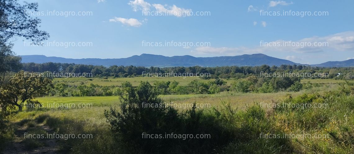 Fotos de Se alquila Finca agrícola en alquiler.30000m2 con pozo legalizado.derecho explotación leñosa ideal proyectos agrícolas o apícolas.