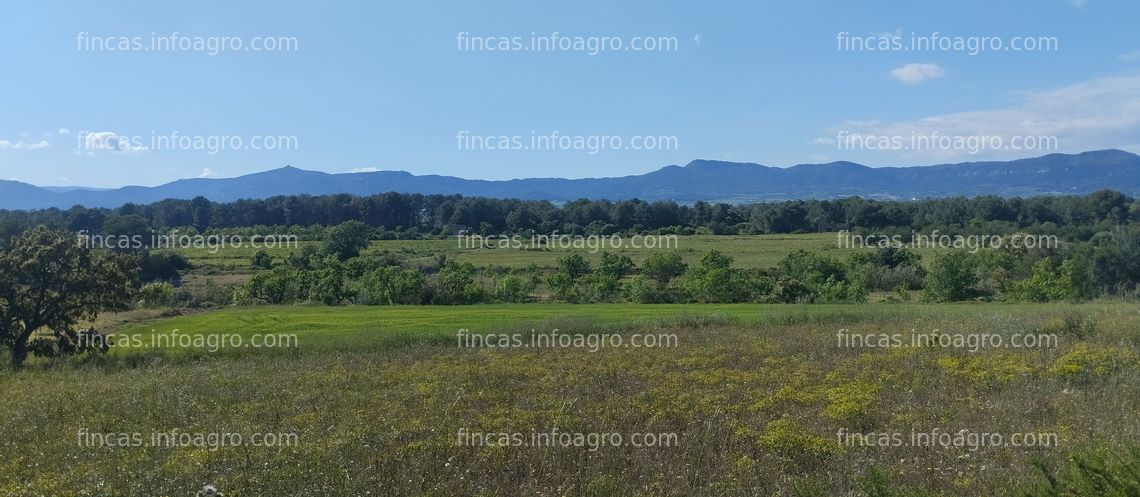 Fotos de Se alquila Finca agrícola en alquiler.30000m2 con pozo legalizado.derecho explotación leñosa ideal proyectos agrícolas o apícolas.
