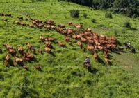 Fotos de A la venta Hermosa Finca en Argentina 2.100 ha