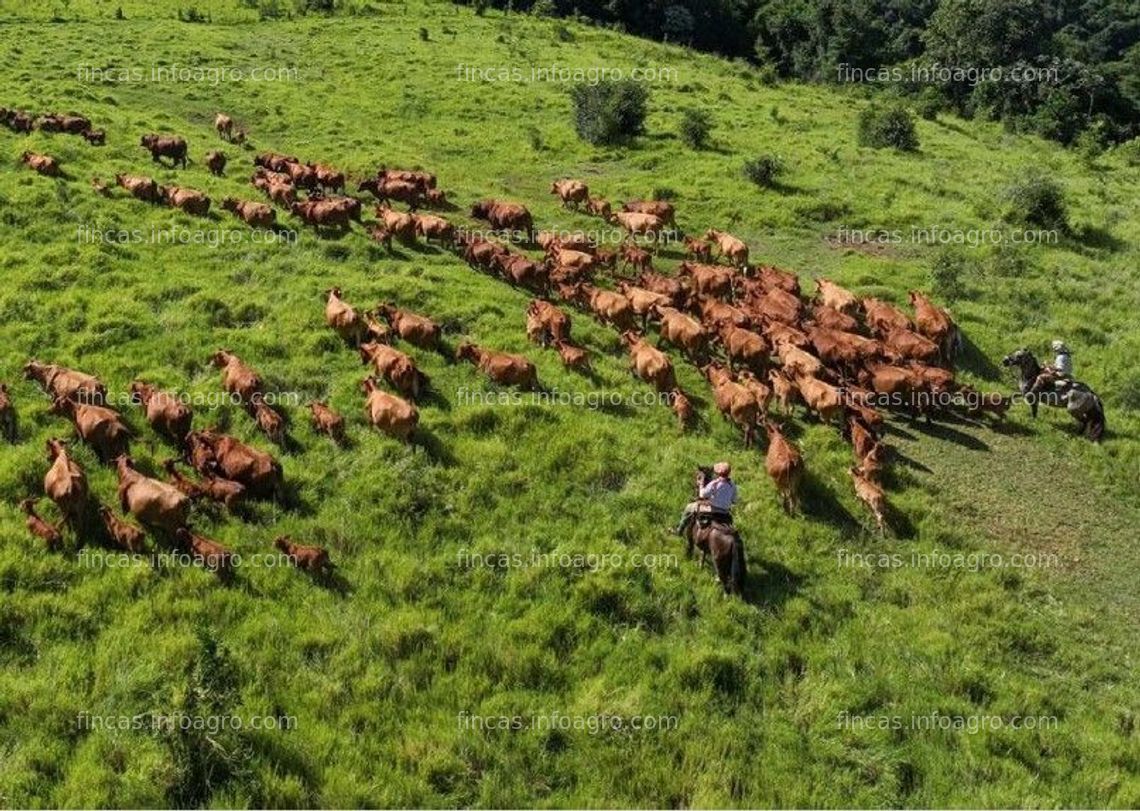 Fotos de A la venta Hermosa Finca en Argentina 2.100 ha