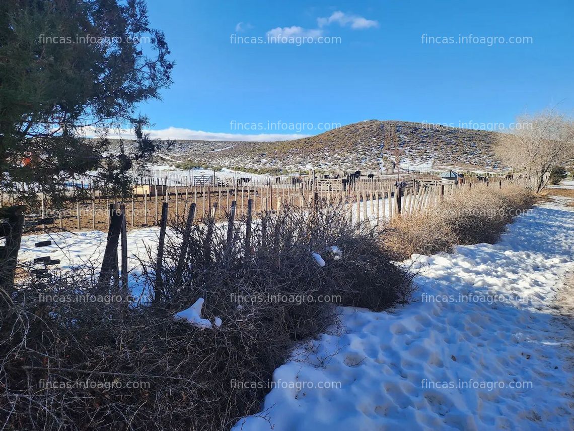 Fotos de En venta  Patagonia Argentina 20.500 ha productivas