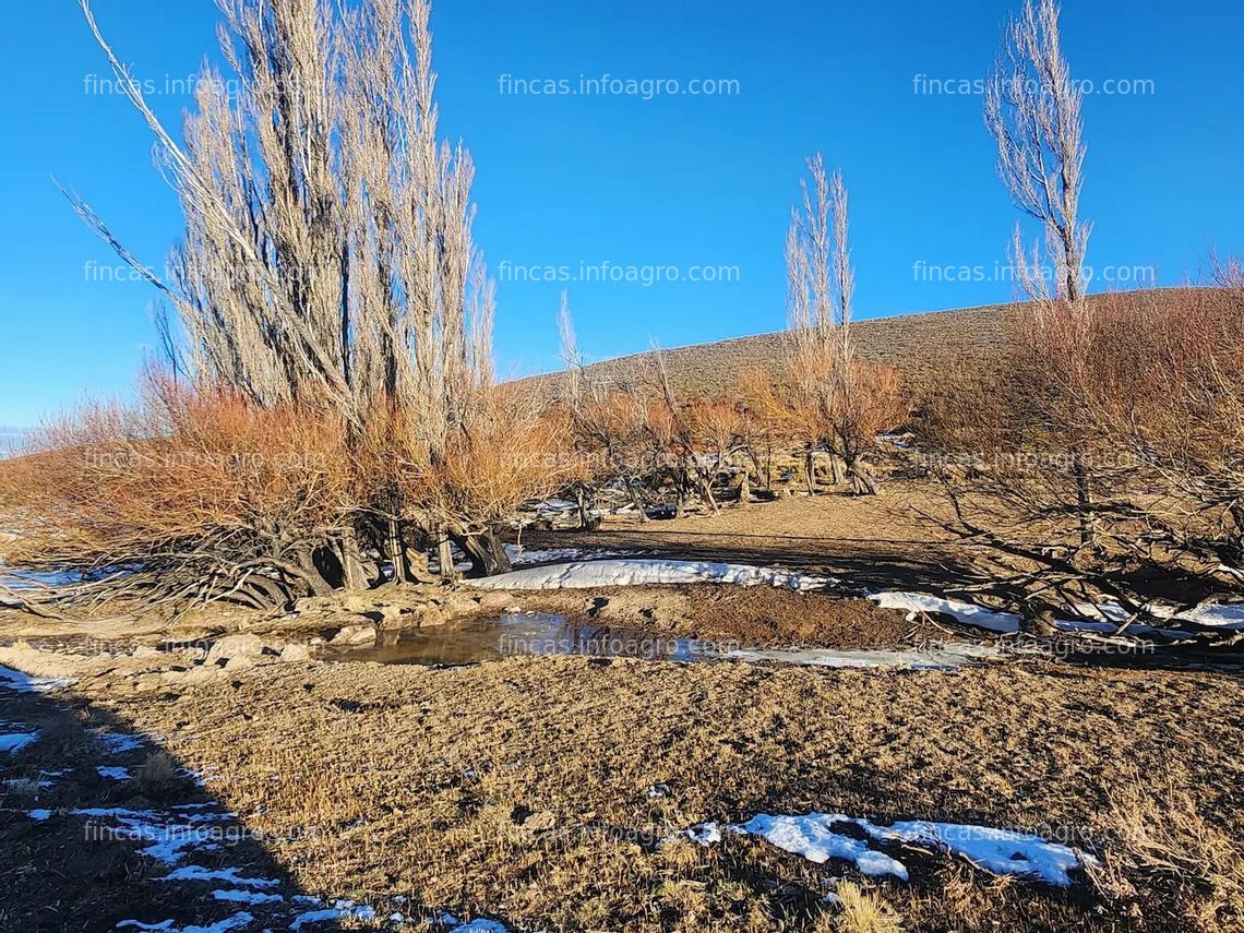 Fotos de En venta  Patagonia Argentina 20.500 ha productivas