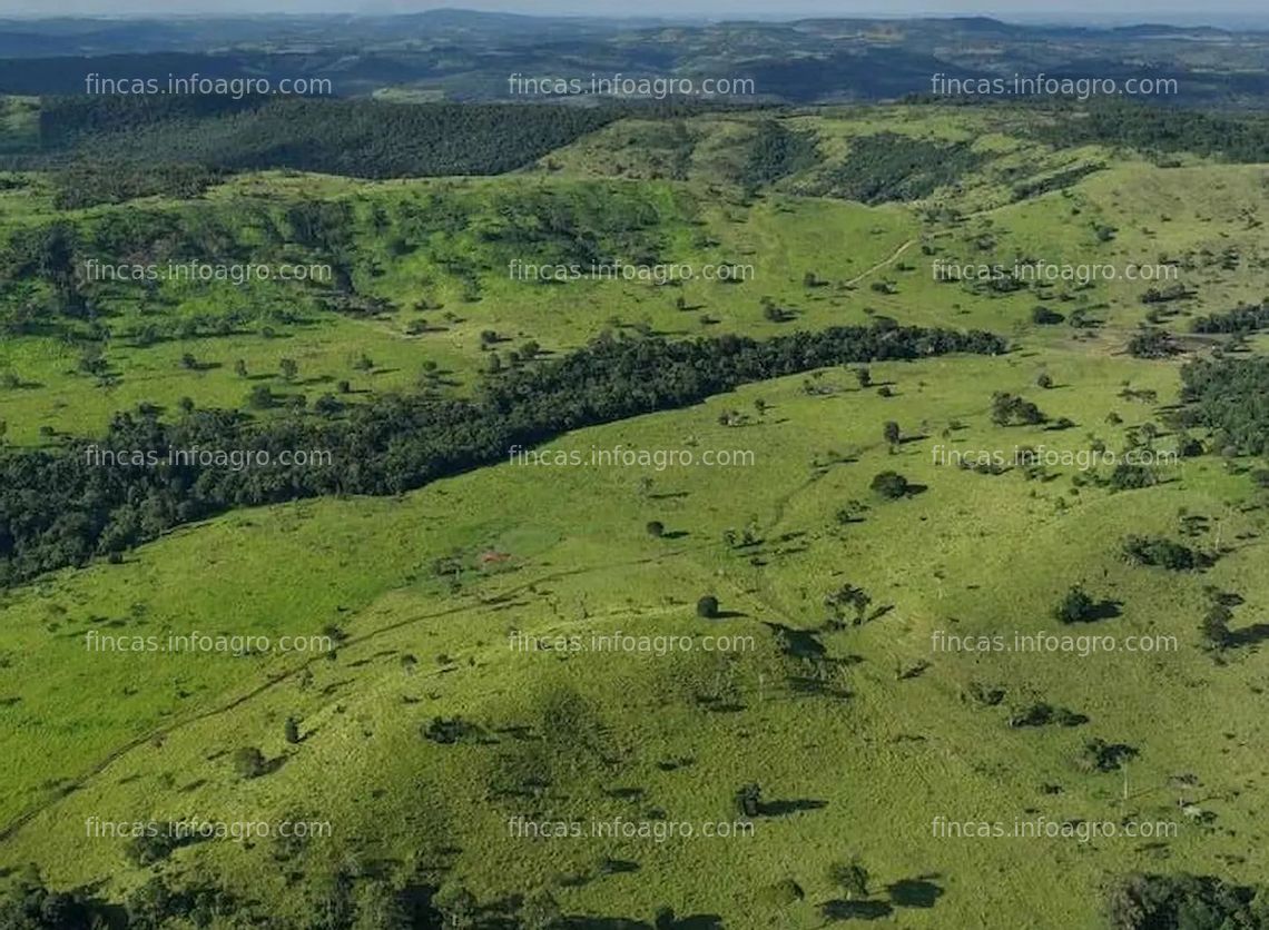 Fotos de Se vende Finca en Argentina 2.100 ha, hermosa y productiva 