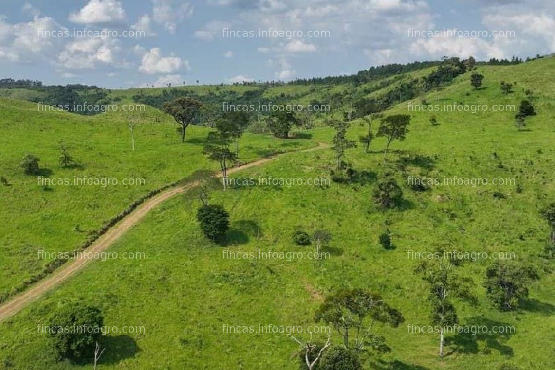 Fotos de Se vende Finca en Argentina 2.100 ha, hermosa y productiva 