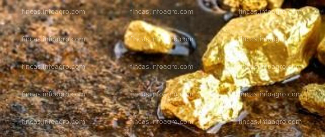 Fotos de En venta  Gold Mine for sale in Argentina