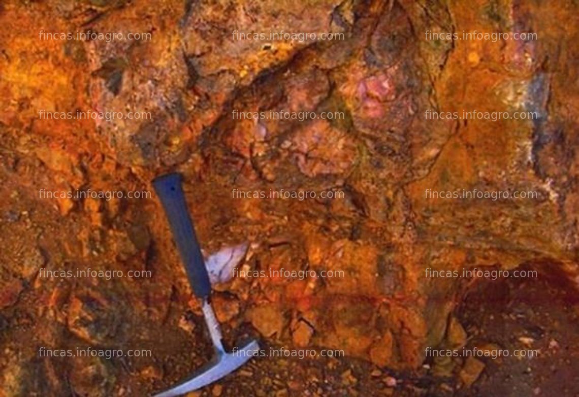 Fotos de En venta  Gold Mine for sale in Argentina
