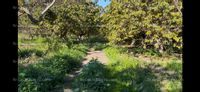 Fotos de En venta  Finca Aguacates en Motril Costa Tropical de Granada