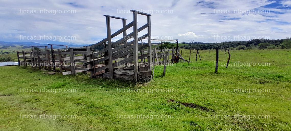 Fotos de Vendo finca Buenavista 