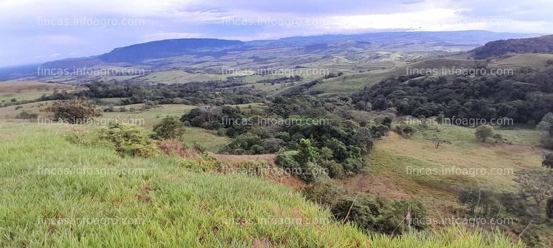 Fotos de Vendo finca Buenavista 