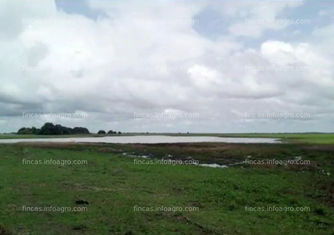 Fotos de Se vende Hato Ganadero 2,711 Ha - Apure - Precio Negociable