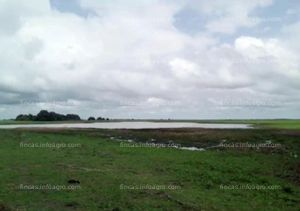 Se vende Hato Ganadero 2,711 Ha - Apure - Precio Negociable
