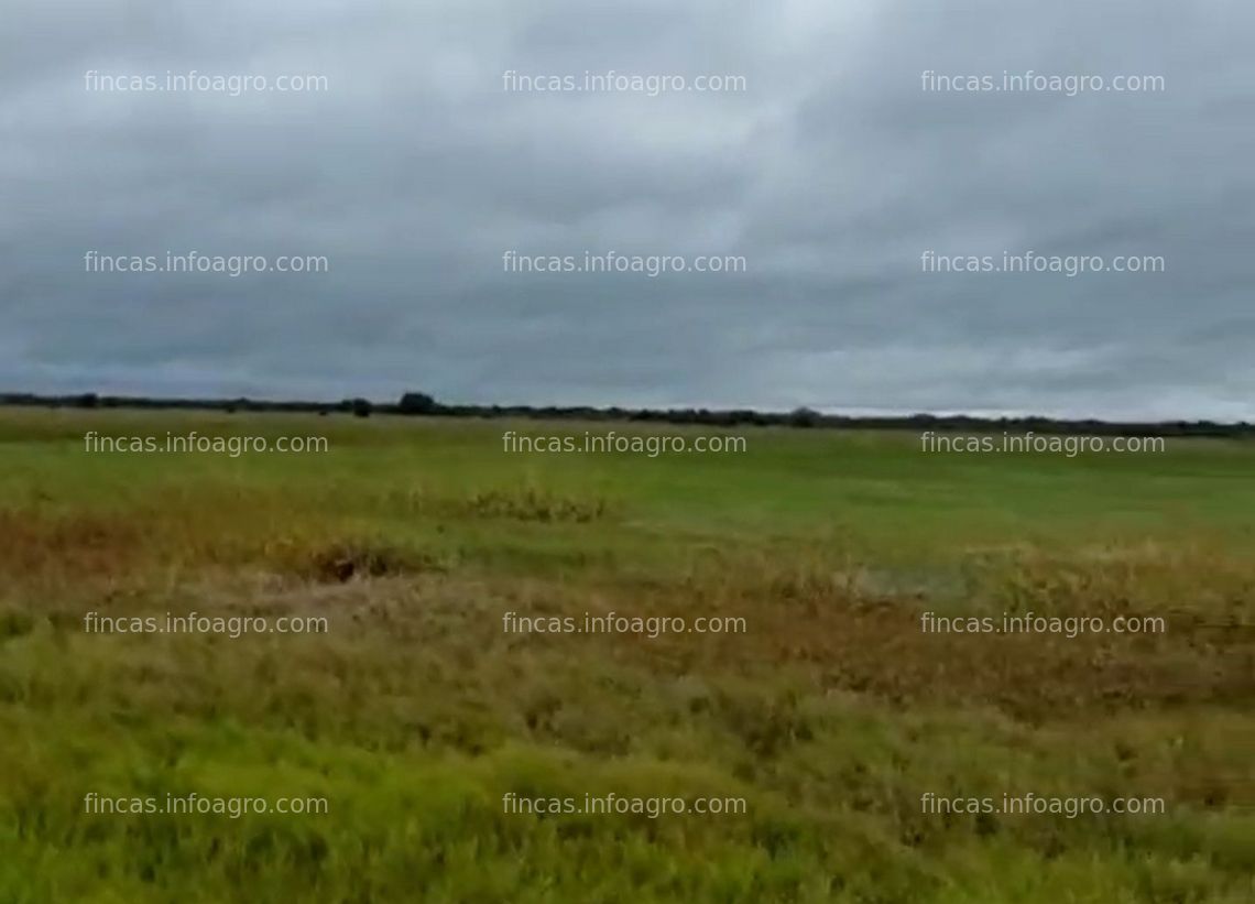 Fotos de Se vende Hato Ganadero 2,711 Ha - Apure - Precio Negociable