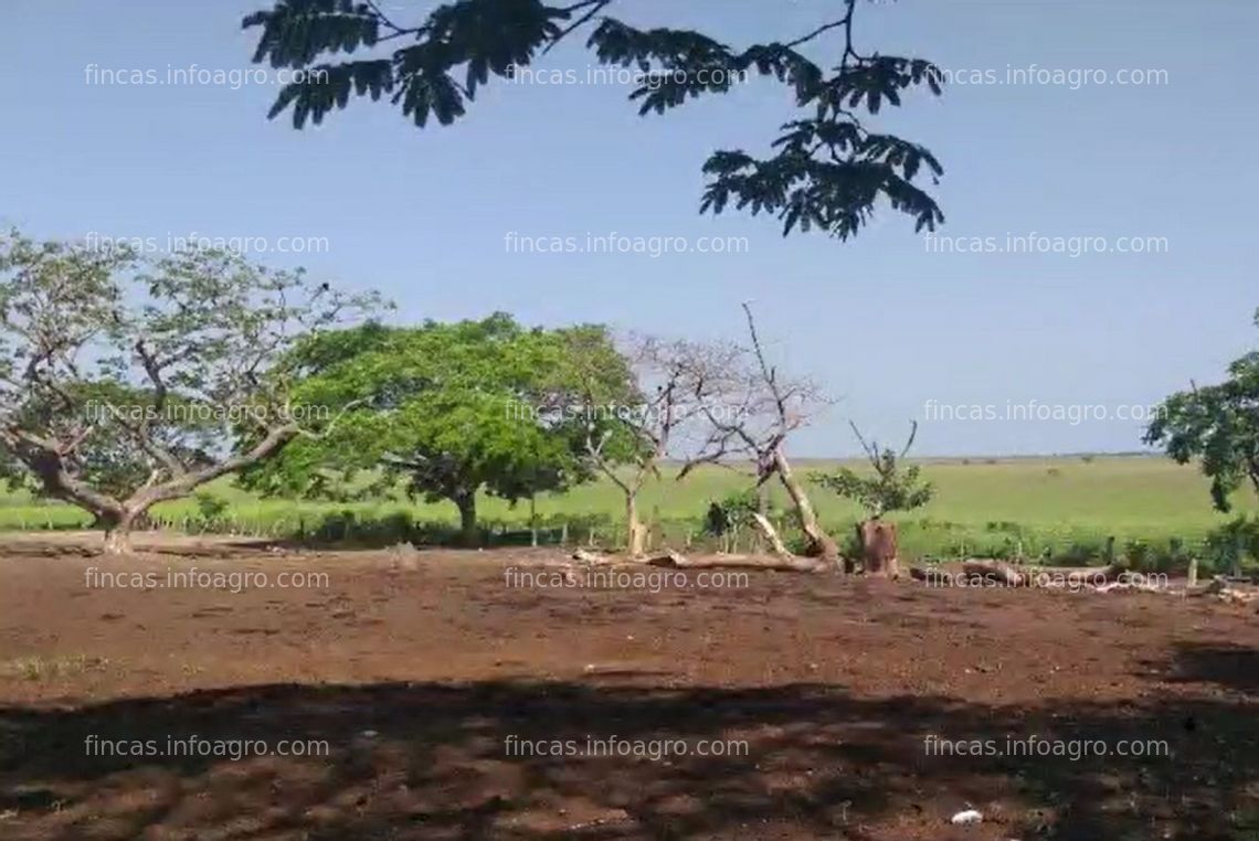 Fotos de Se vende Hato Ganadero 2,711 Ha - Apure - Precio Negociable