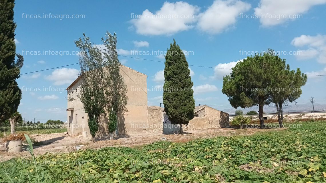 Fotos de En venta  finca rústica en Callosa de Segura de 39,5 Tahúllas (46.807 m2).