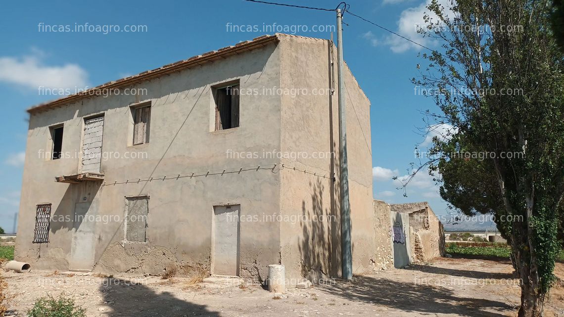 Fotos de En venta  finca rústica en Callosa de Segura de 39,5 Tahúllas (46.807 m2).