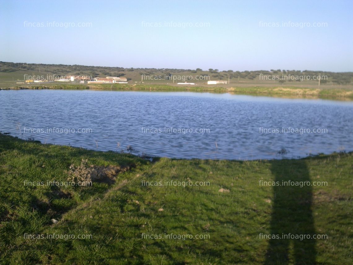 Fotos de Se vende En Campo Charro, entre Vecinos y Matilla de los Caños del río: Salamanca a 28 km, Guijuelo a 37km.   47 hectáreas.  En Finca Corbacera.